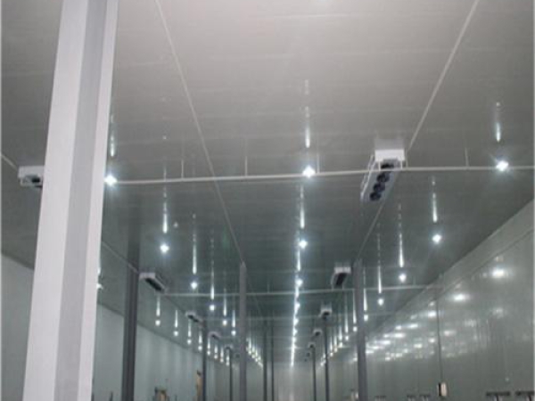 建造安裝食品低溫冷藏庫(kù)有哪些因素影響造價(jià)？